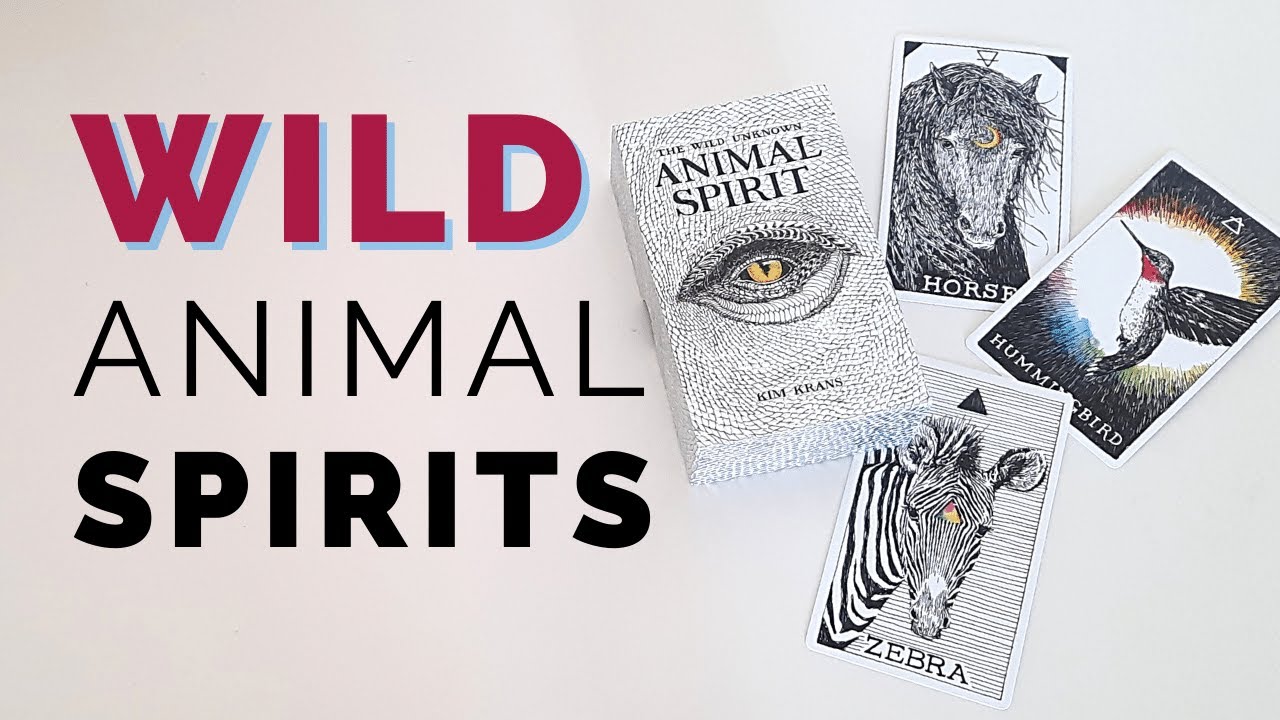 Wild Unknown Animal Spirit Oracle Deck 🐾 | Walkthrough, Review & How to Use Intuitively
