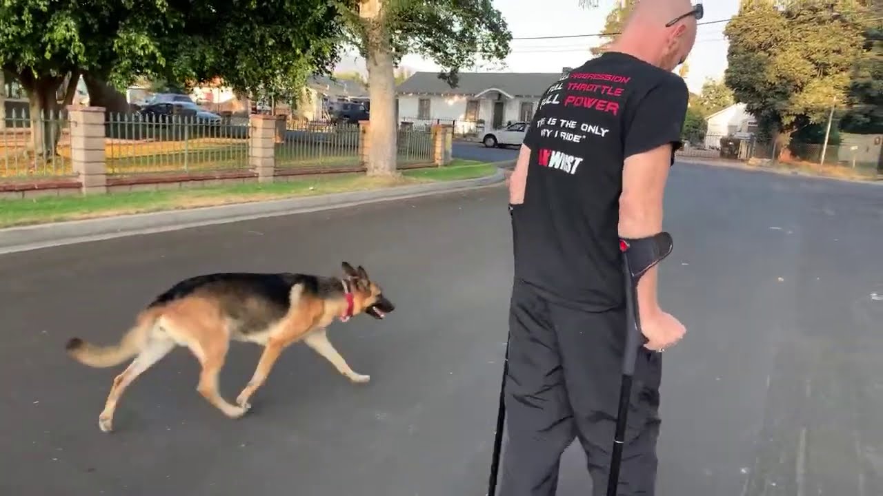Can I Walk Again?