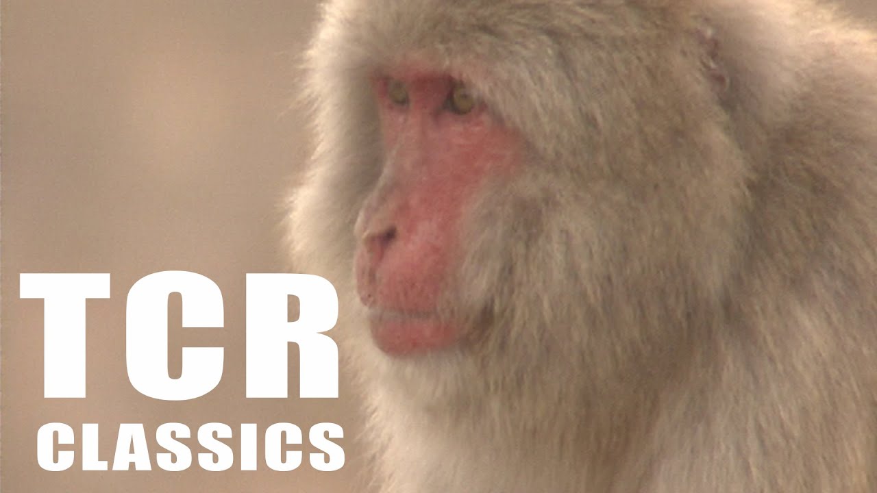 Texas Snow Monkeys (Texas Country Reporter)