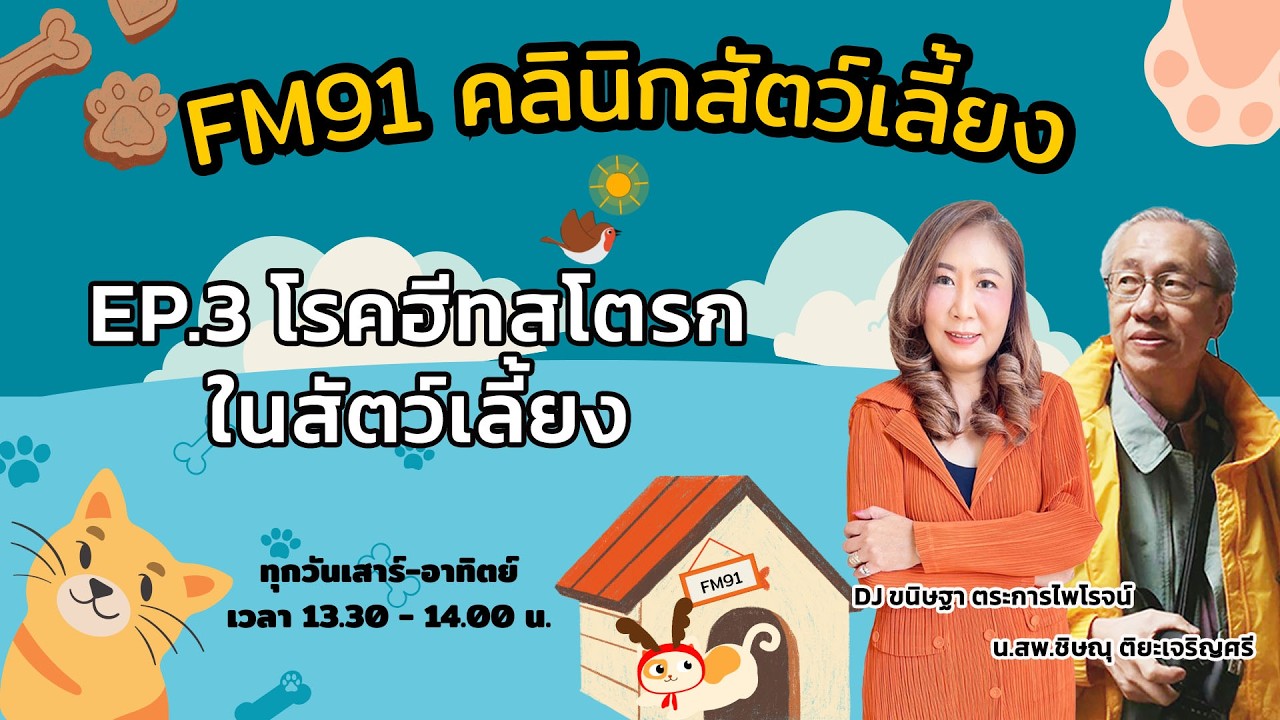 โรคฮีทสโตรกในสัตว์เลี้ยง EP.3 : FM91 คลินิกสัตว์เลี้ยง : 7 มีนาคม 2569