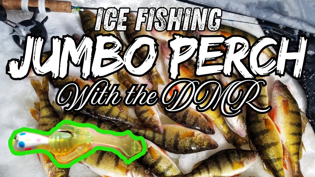 Ice Fishing Jumbo Perch With The Freedom Baitz DMR