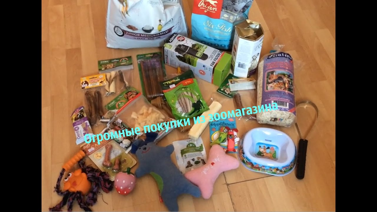 Огромные покупки из зоомагазина
