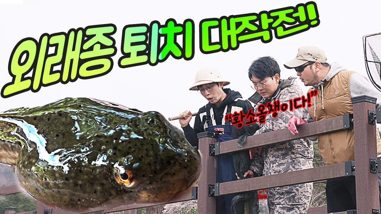 황소개구리 올챙이 퇴치작전! [모여라 생물팡팡 EP4]
