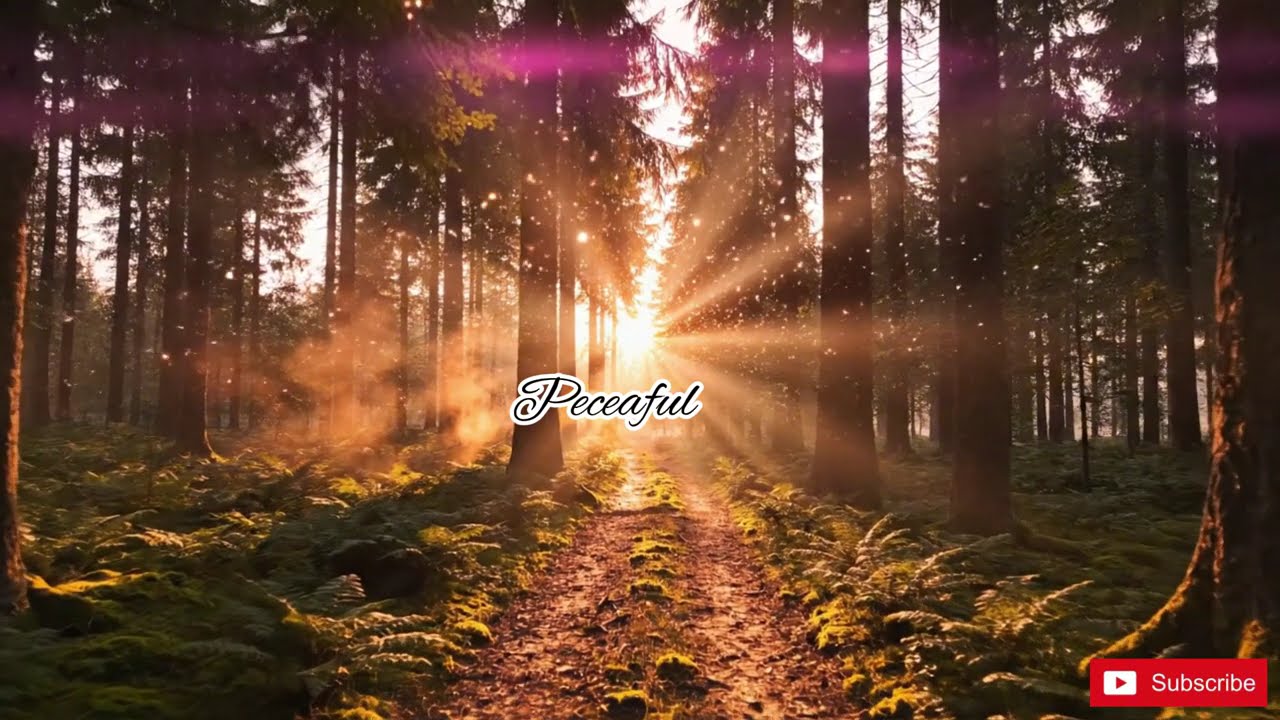 60 Minutes in a PEACEFUL Forest with Piano Music