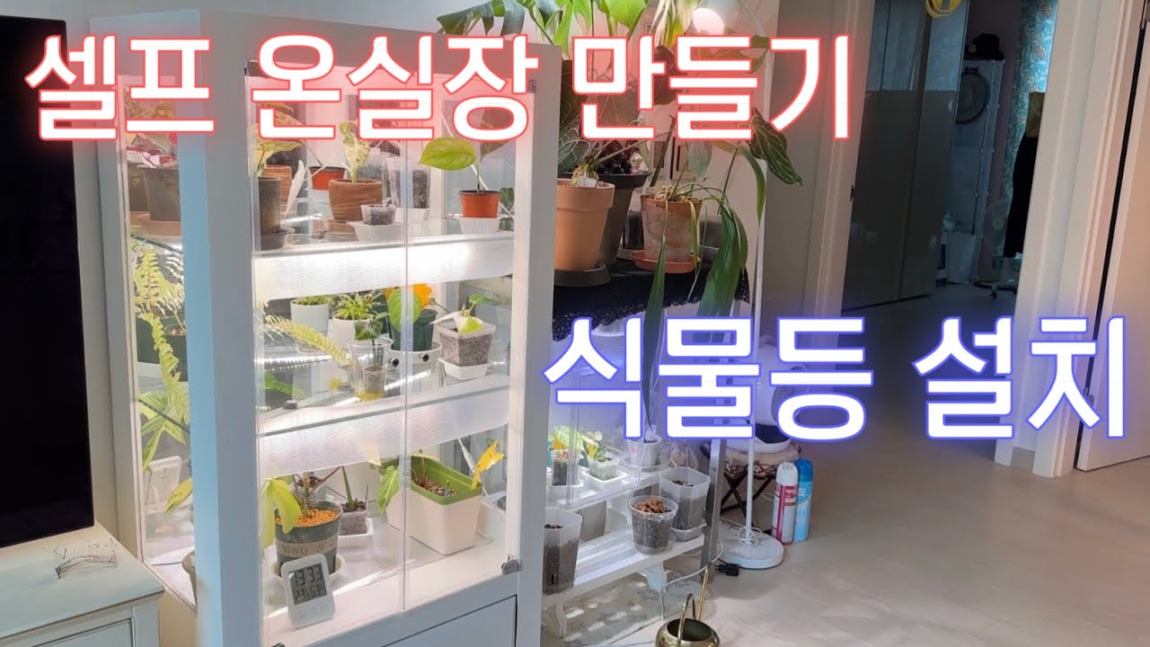 온실안 식물등 설치 방법~역시 온실 좋은것 같아요👍^^ 습도 , 온도, 빛 (feat.풀나옴식물등)