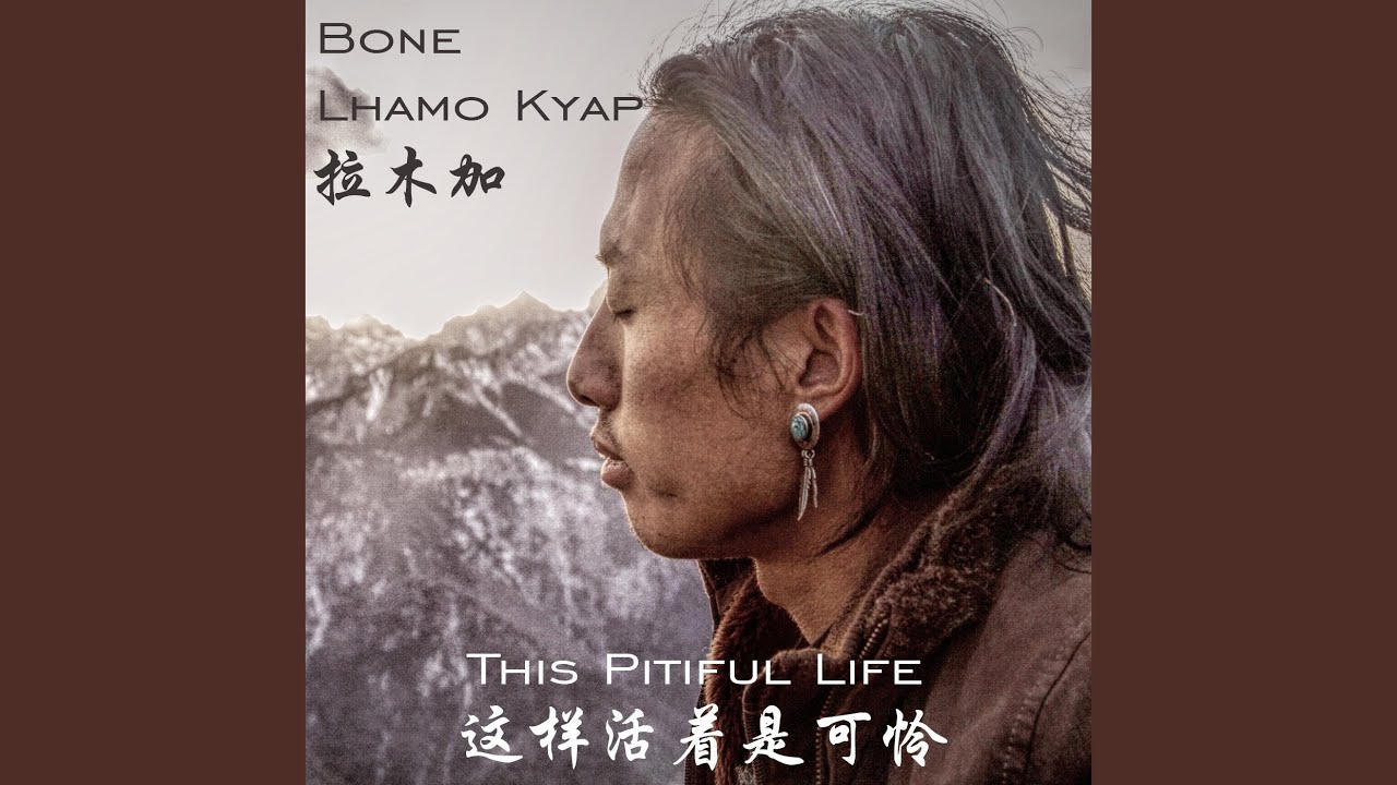 This Pitiful Life