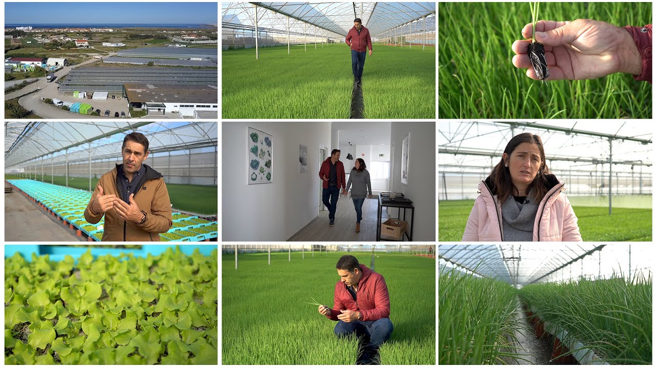 Plantigrou / Viveiros de Plantas Hortícolas