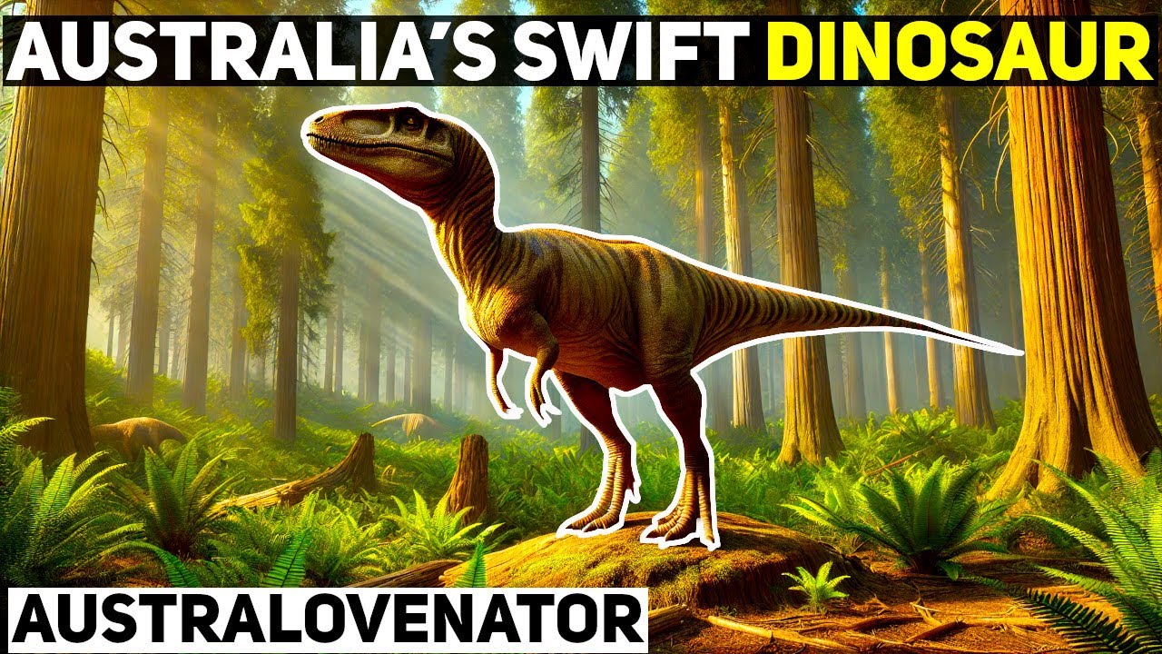 The Swift Dinosaur of Prehistoric Australia: Australovenator