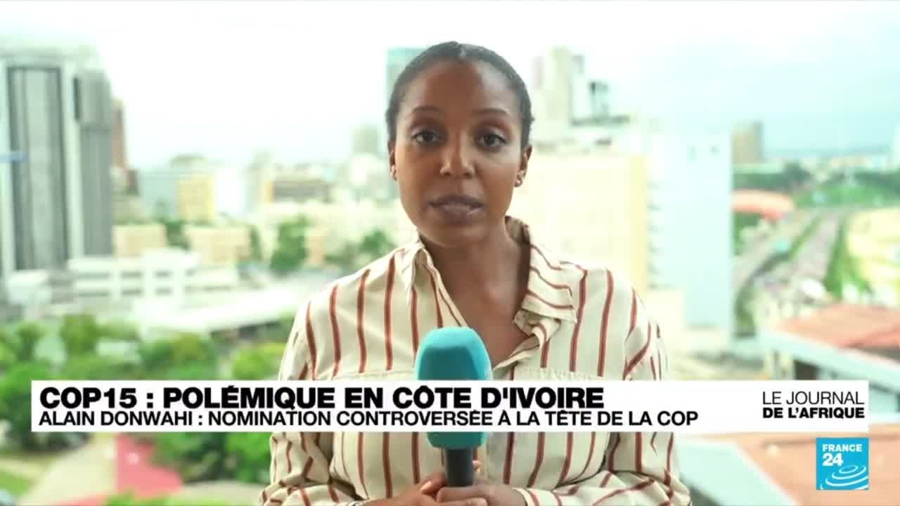 Côte d'Ivoire : polémique après la nomination d'Alain Richard Donwahi à la tête de la COP15