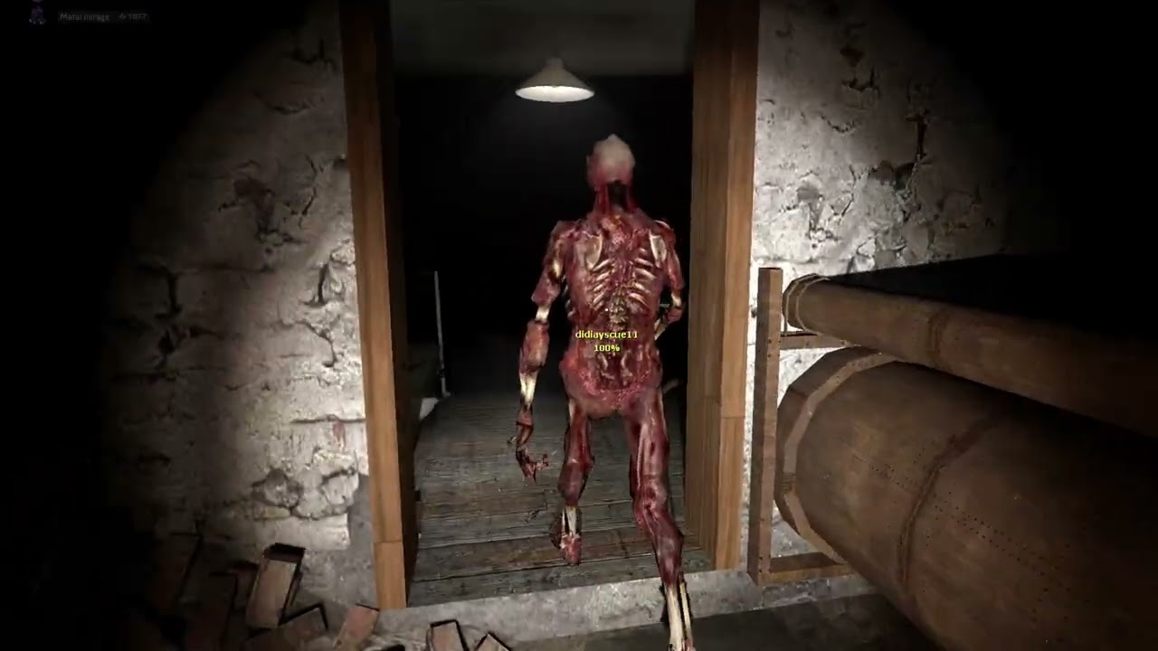 Gmod with friend part 24