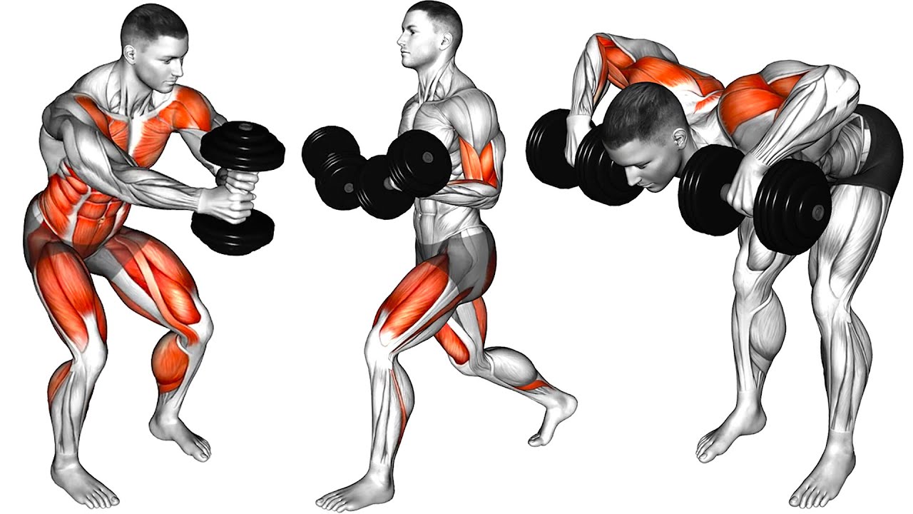 Лучшие упражнения с гантелями для проработки каждой мышцы дома