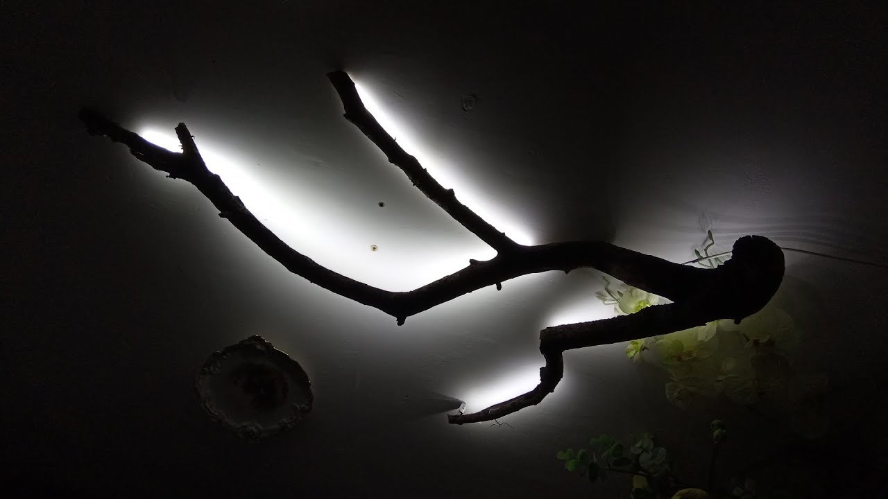 Idea genial con la Rama de un árbol / Lampara led casera