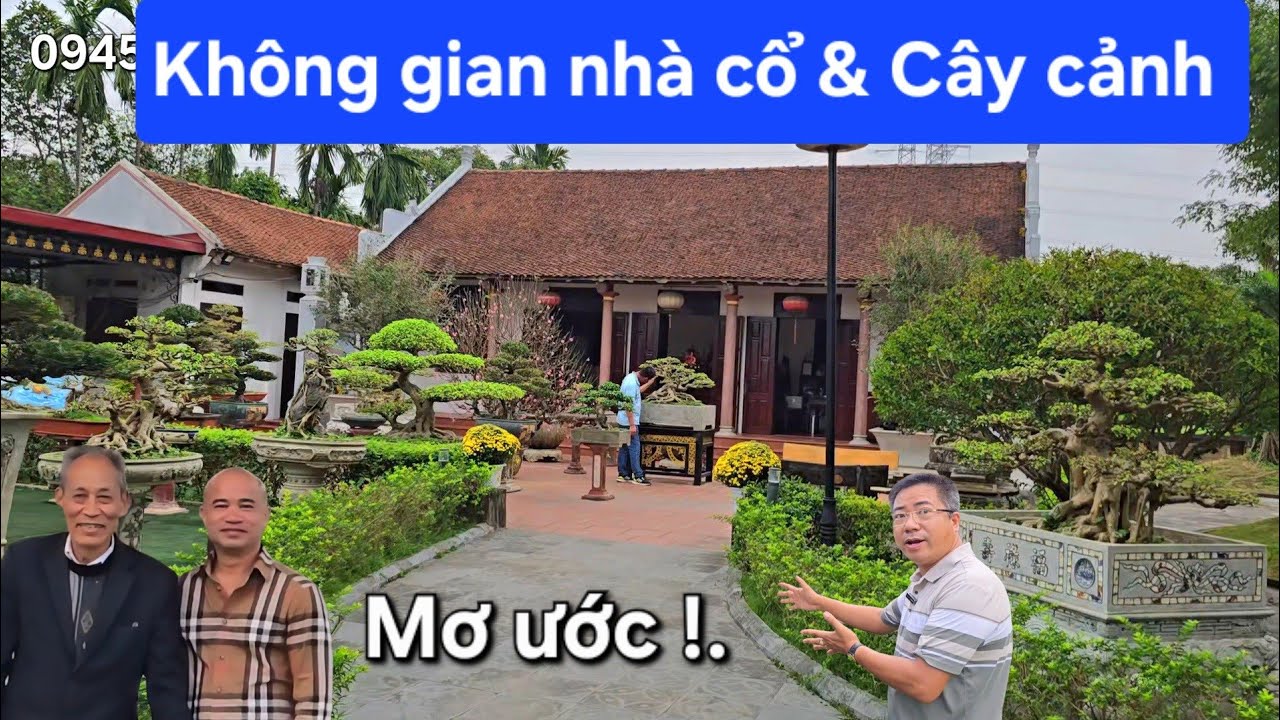 Chiêm ngưỡng không gian vườn cây đẹp như mơ 