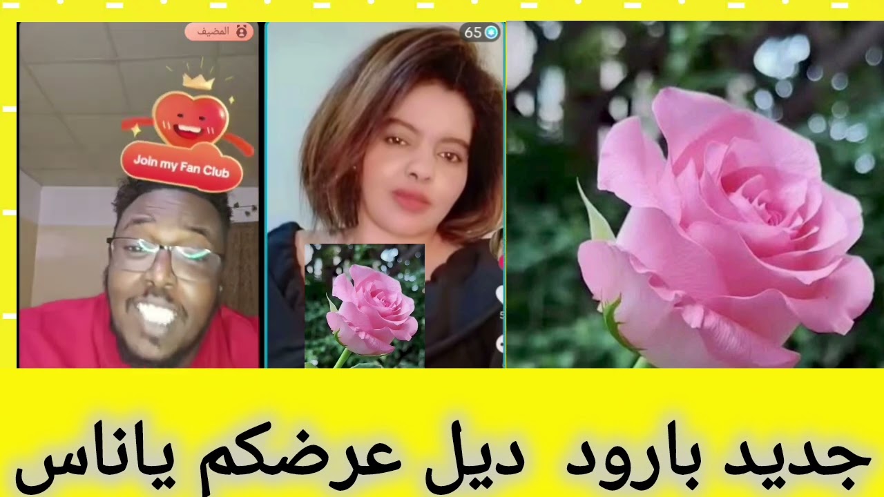 ديل عرضكم ياناس جديد بارود 