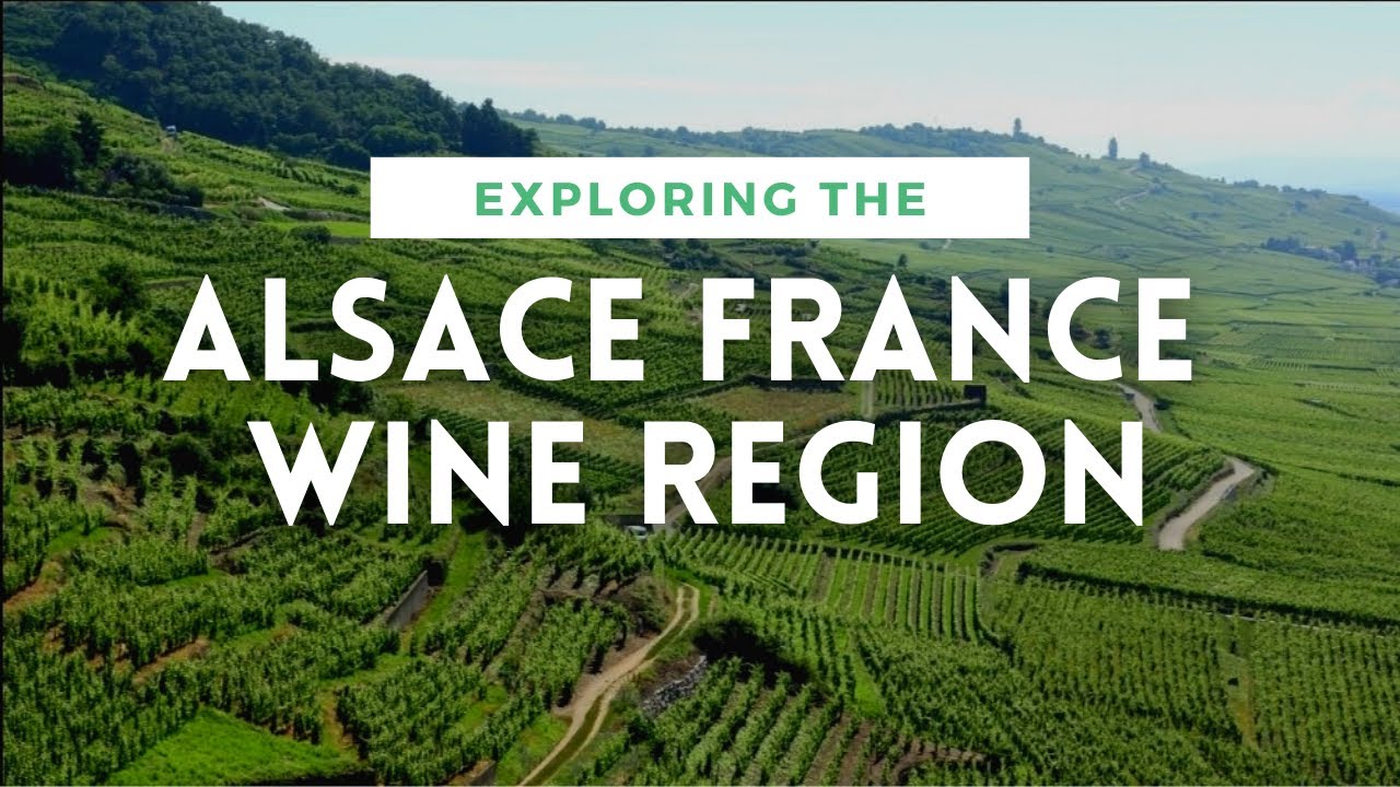 ALSACE FRANCE WINE REGION OVERVIEW - Plus Pinot Gris Review
