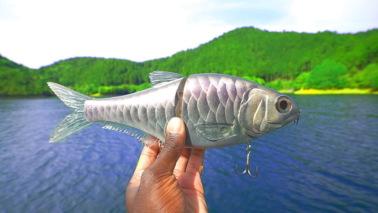 Fishing In The Mountains Of Japan For Giant Fish!