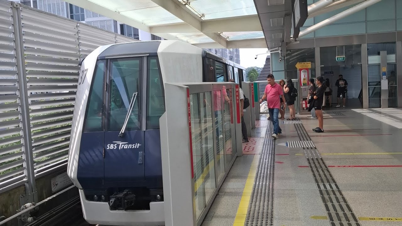 V59 run via the Punggol East loop (via Cove)