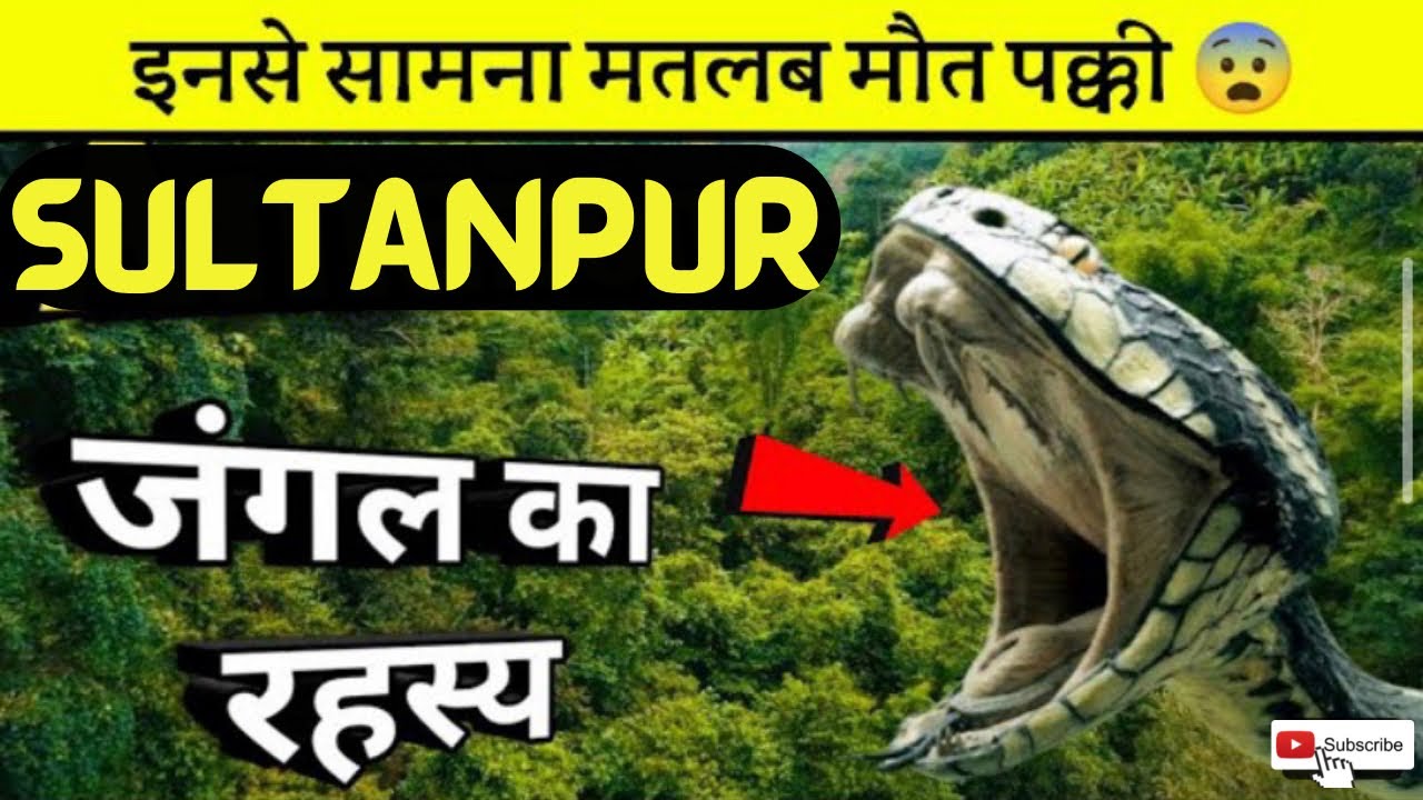 JUNGLE ME SAB TIGER SE DARR GAYE | SHAHPUR JUNGLE SULTANPUR |sachinvishwakarma