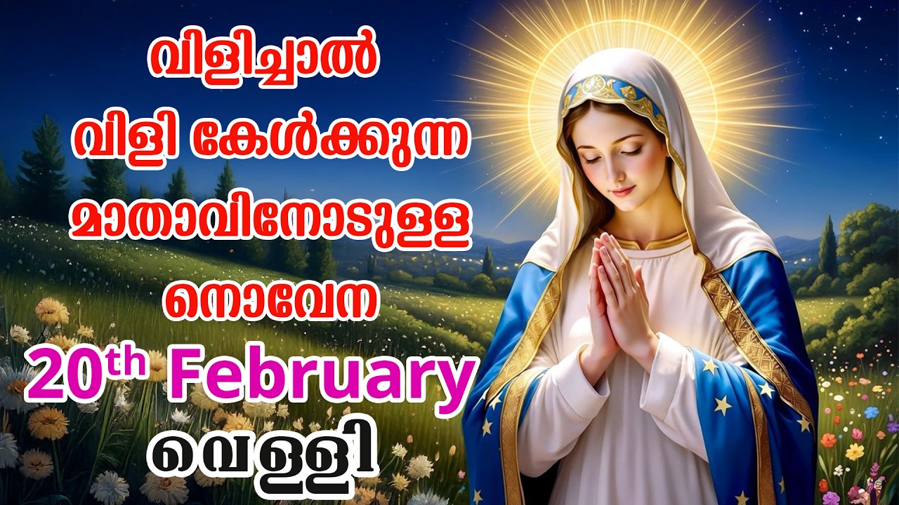 20th February 2026 | വിളിച്ചാൽ വിളി കേൾക്കുന്ന മാതാവിന്റെ നൊവേന  | VachanamTV #novenaprayer #novena