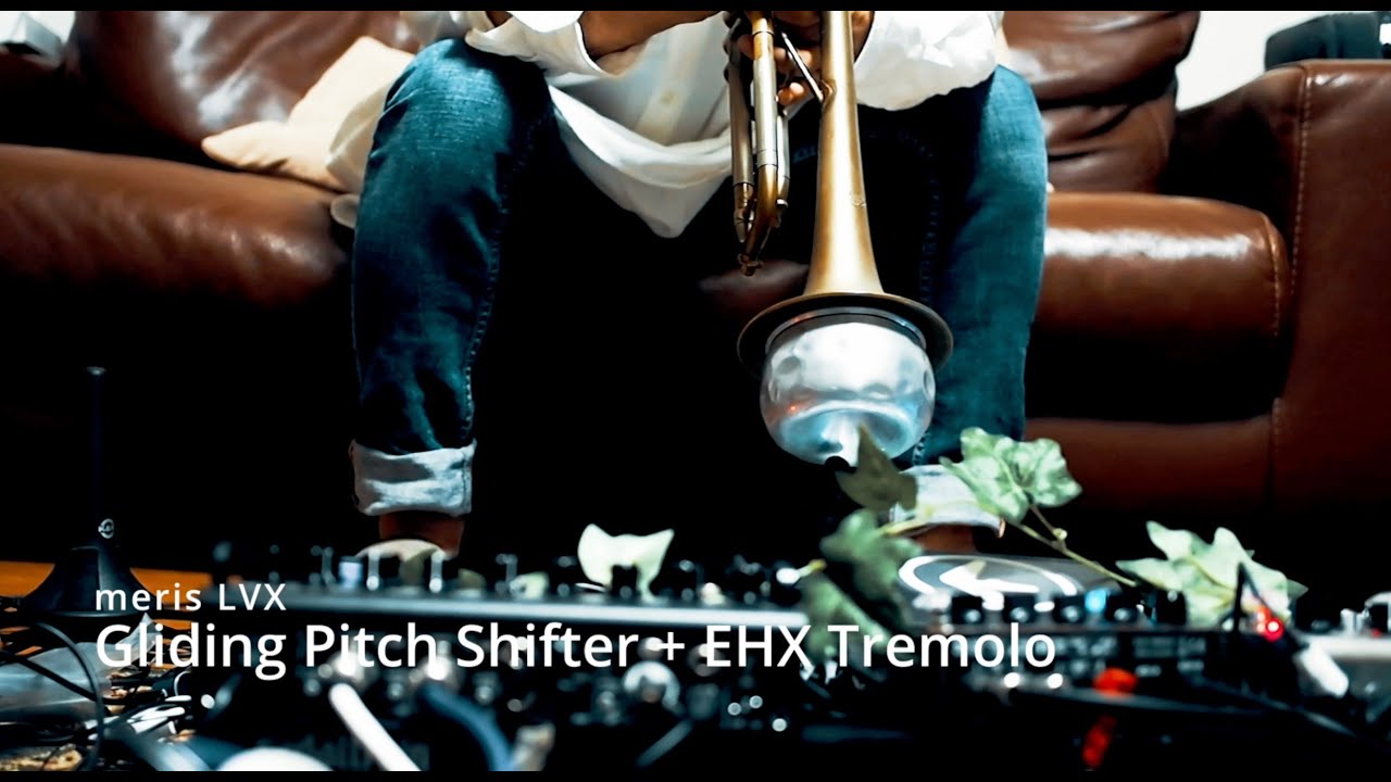 meris LVX glide pitch-shifting delay (+ EHX super pulsar tremolo)