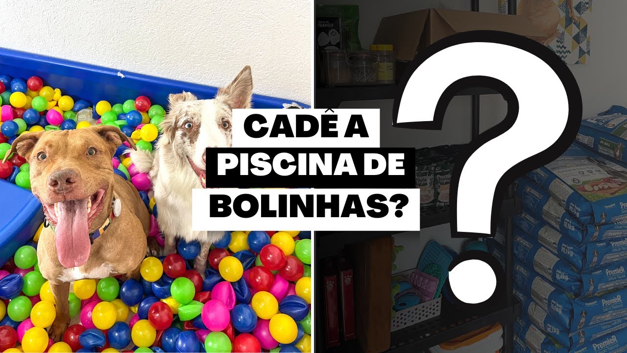 Um Tour ATUALIZADO pelo Quarto Pet: Venha Ver o Que Mudou! 🤩