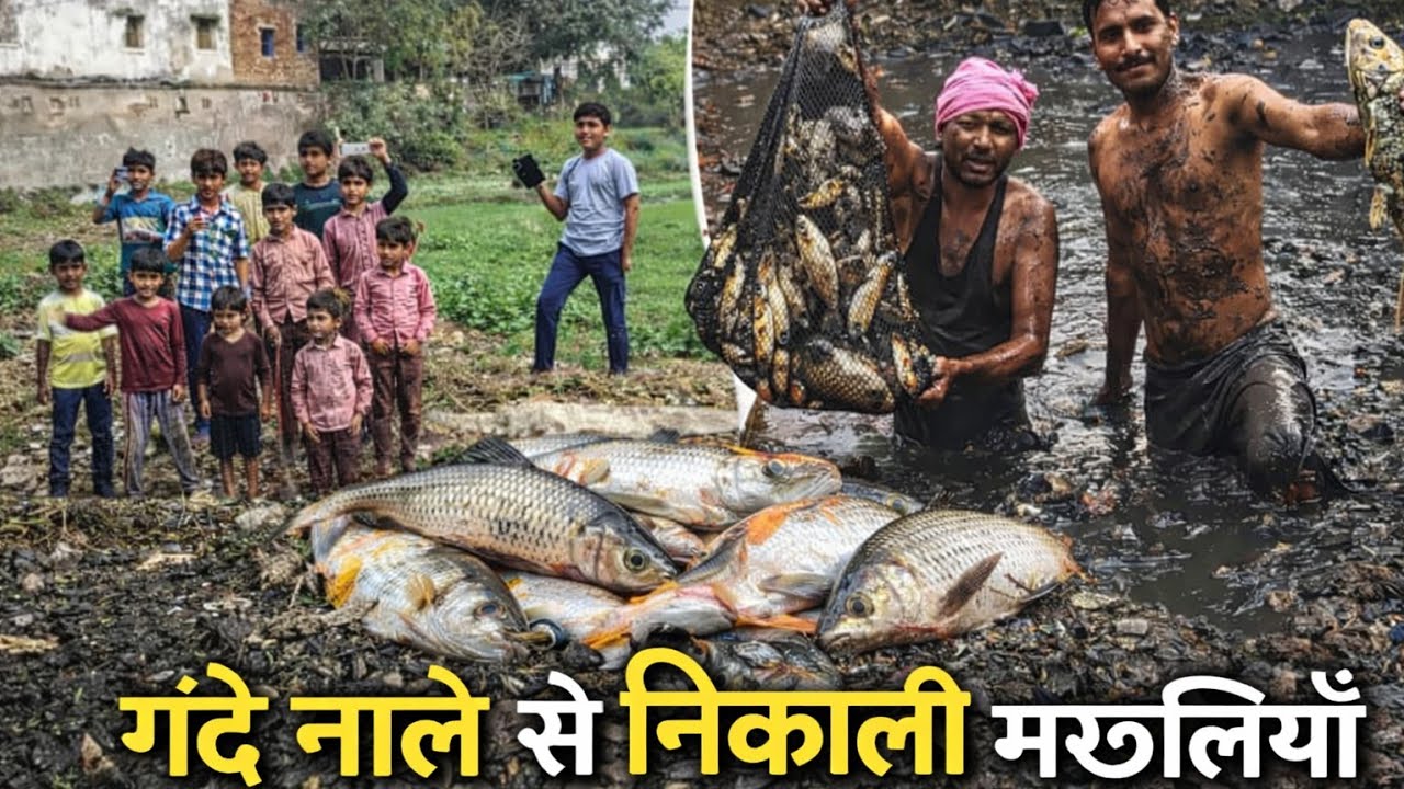 गंदे नाली में मछली मारते हुए 😱😱 देखिए बहुत मजा आएगा 🤣🤣@ravivlog-8726