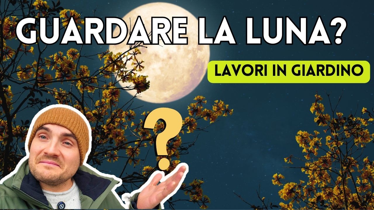 La Luna nei lavori in giardino: cosa fare (e cosa no) per non sbagliare