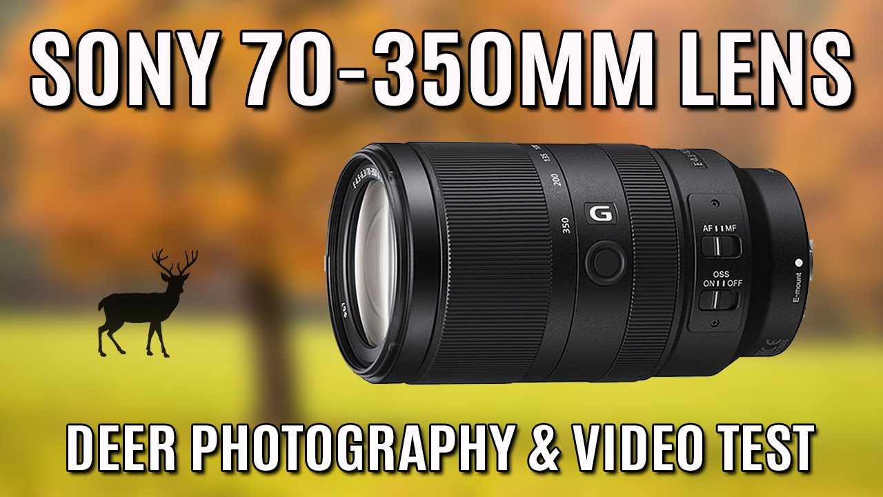 SONY 70-350mm F4.5-6.3 G OSS LENS TEST | Deer Photography & Video test | SONY 6700