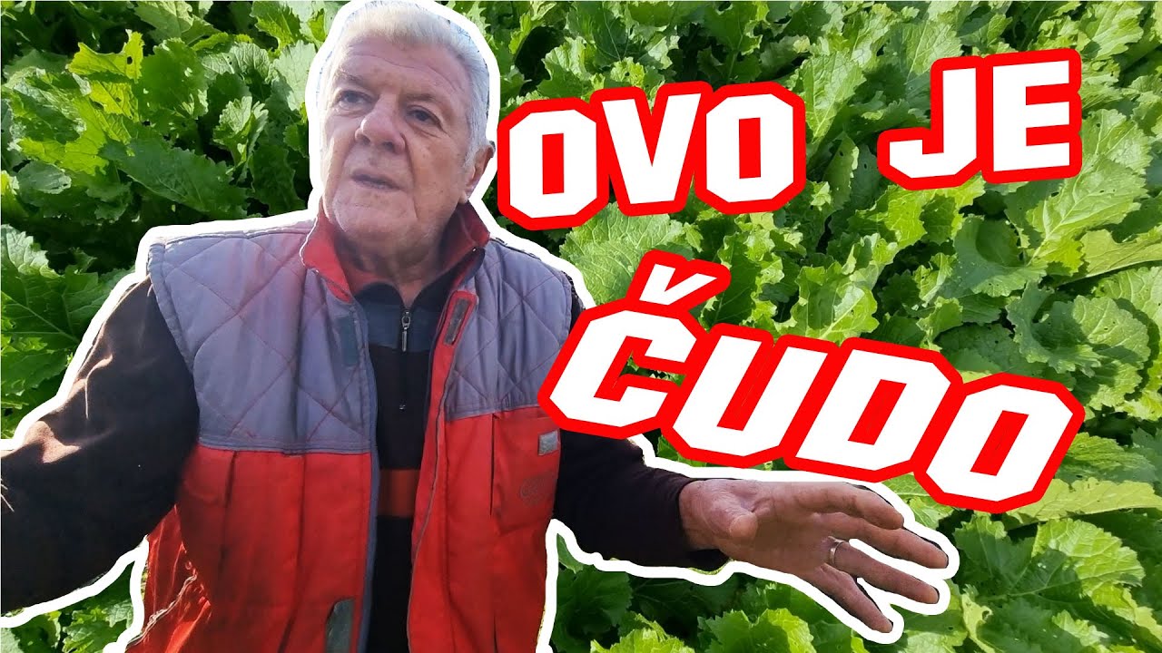 Ovo je čudo !!!!