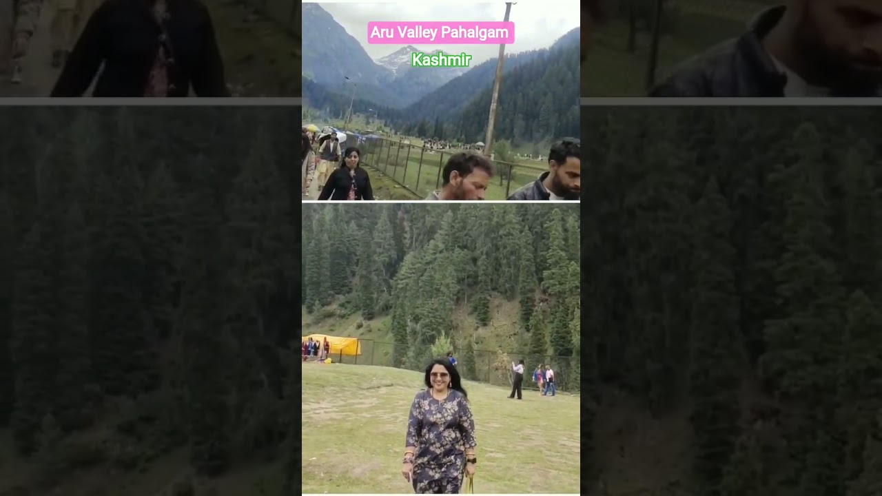 Aru Valley Pahalgam 