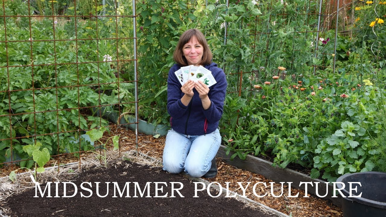 Sowing a midsummer polyculture of annual vegetables