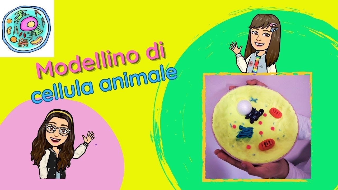 Modellino di cellula animale-Tutorial