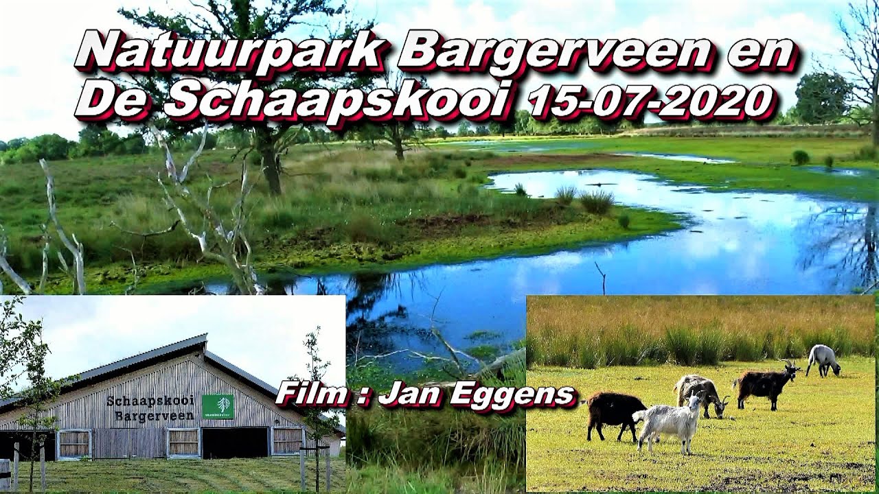 Natuurpark Bargerveen en de Schaapskooi 15 07 2020