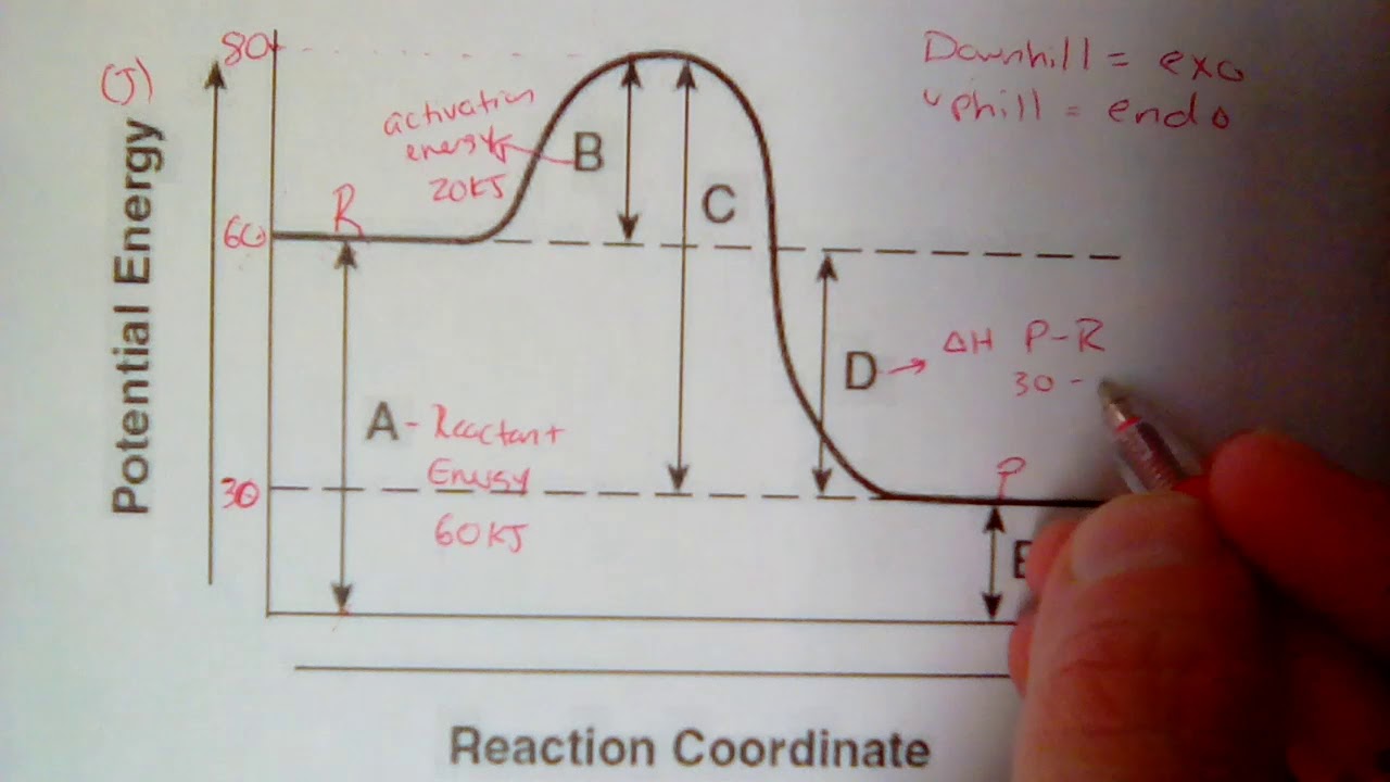 Potential Energy Diagram