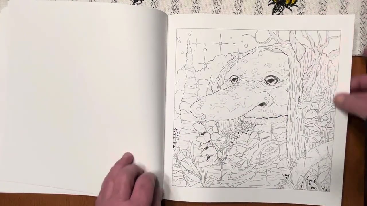 Mythographic book flip through and review of FAIRY WONDERLAND By- Fabiana Attanasio