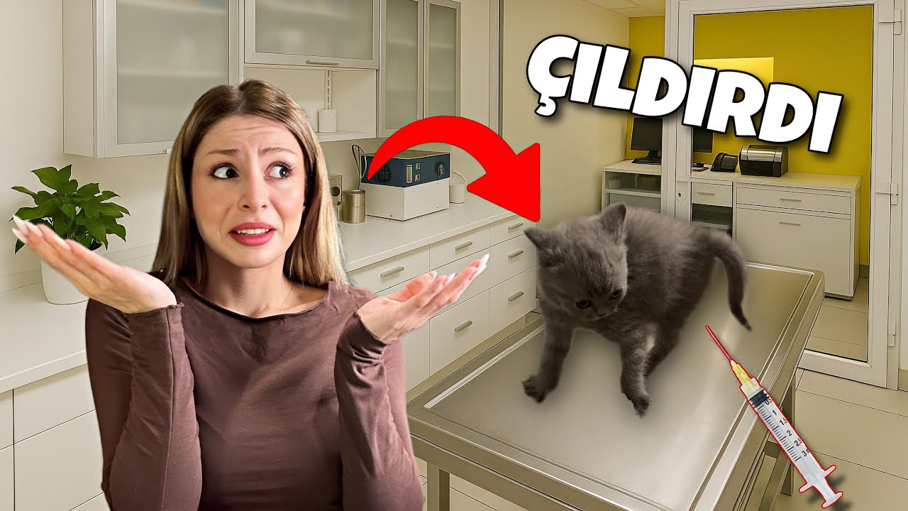 KEDİMİ HASTAHANEYE G&Ouml;T&Uuml;RD&Uuml;M, &Ccedil;ILDIRDI!! Sıla Beyoğlu | Melih Yıldırım