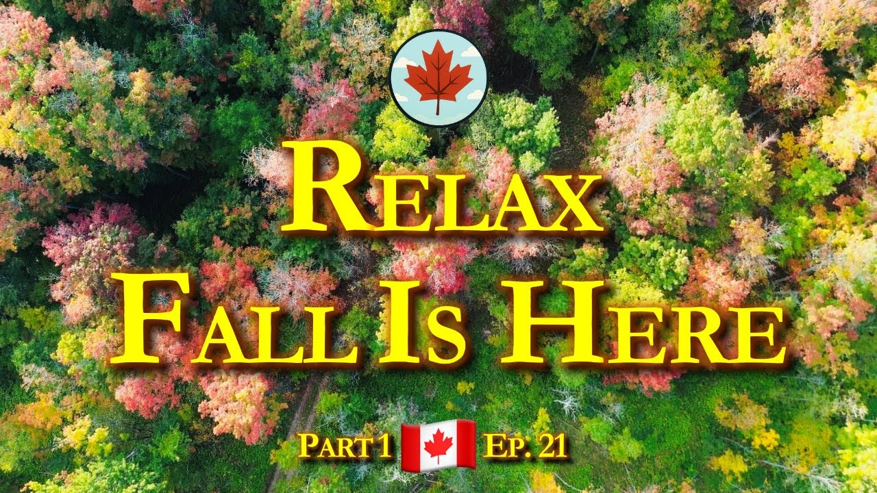 Relaxing 4K Sky Views of Rim Park in Fall🍁| Ontario&rsquo;s Autumn Serenity Series