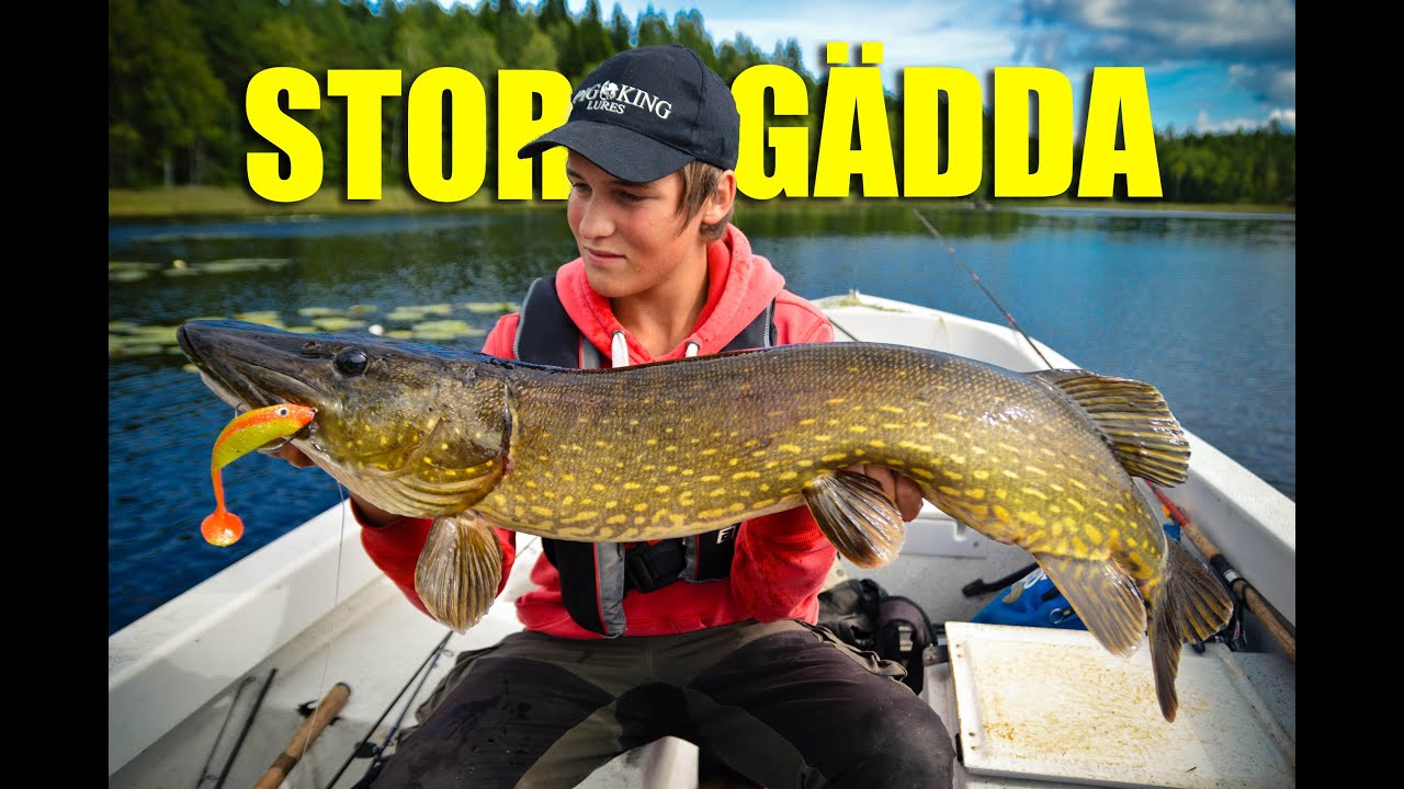 Dubbeldrillning och Filmat Hugg av Stor Gädda | Team Galant