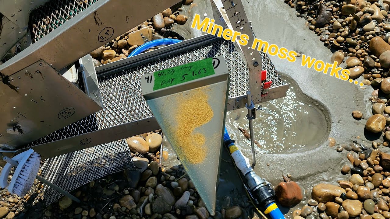 Highbanking Coarse Gravel and Rocks in Alberta. Hunting the Elusive One Gram an Hour...