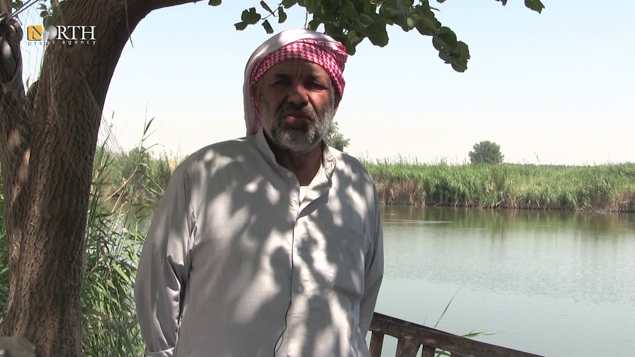 الرقة - عزوف مربي الأسماك عن المهنة واللجوء إلى طرق بديلة لتوفير صغار الأسماك - نورث برس