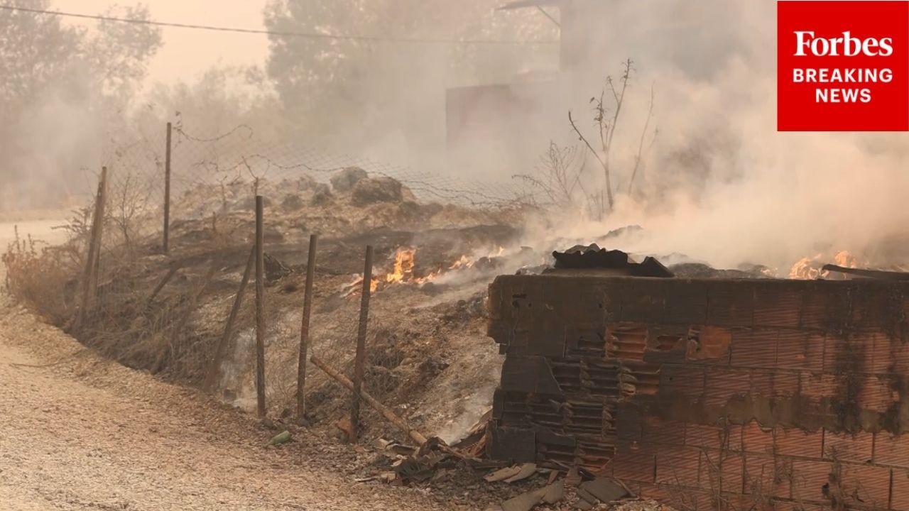 RAW VIDEO: Wildfires Burn In Jijel, Algeria, Killing At Least 12 According To Authorities