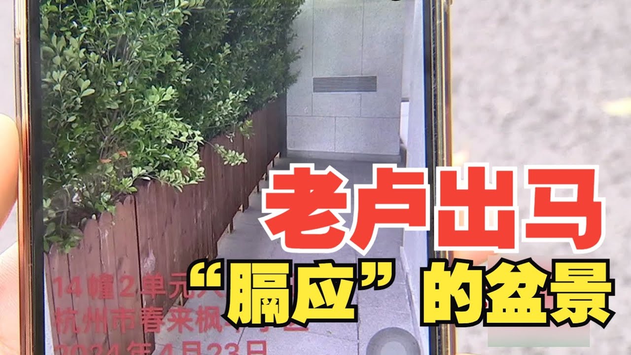 【1818黄金眼】“春来枫华”14幢，通道为何被隔开？