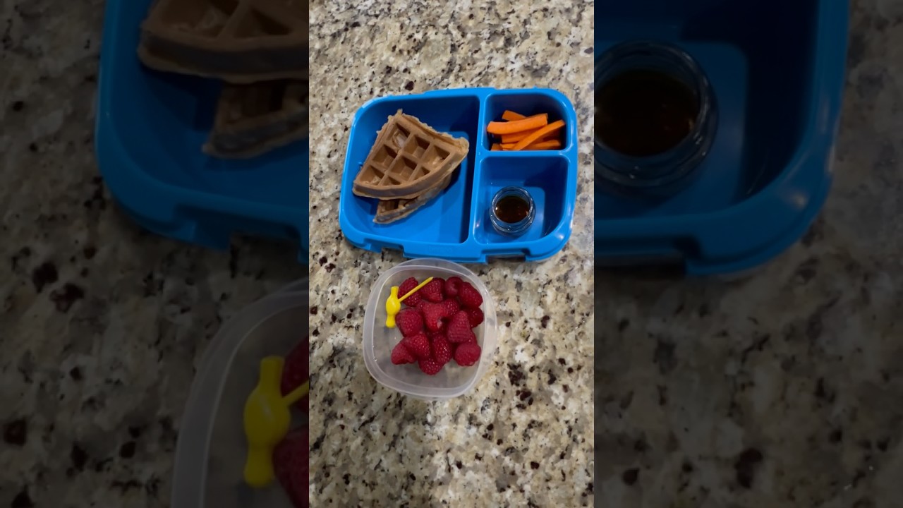 Kids school lunchbox22.. #shortsfeed #lunchbox #kindergarden #schoollunch #healthyfood #easyrecipe