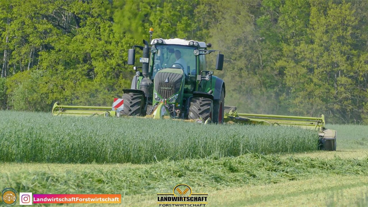 XXL Roggen mähen LU J&J FENDT 826 VARIO mit CLAAS Disco 9200c - 3200FC - Schwadzusammenführung