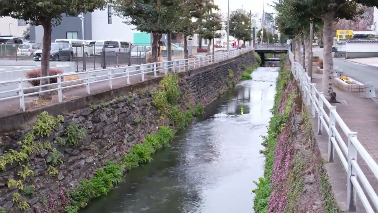 【FUJIFILM X 100 VI】動画も写真もこの一台！でいいんじゃない？／Vlog.2026年1月11日日曜日