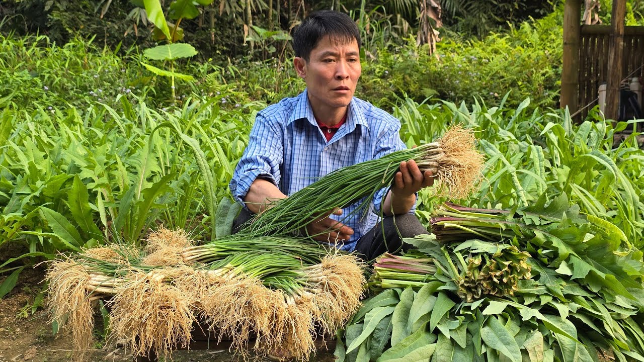 Harvest Vegetables go to market sell - take care of all pets on the farm | Solo Survival