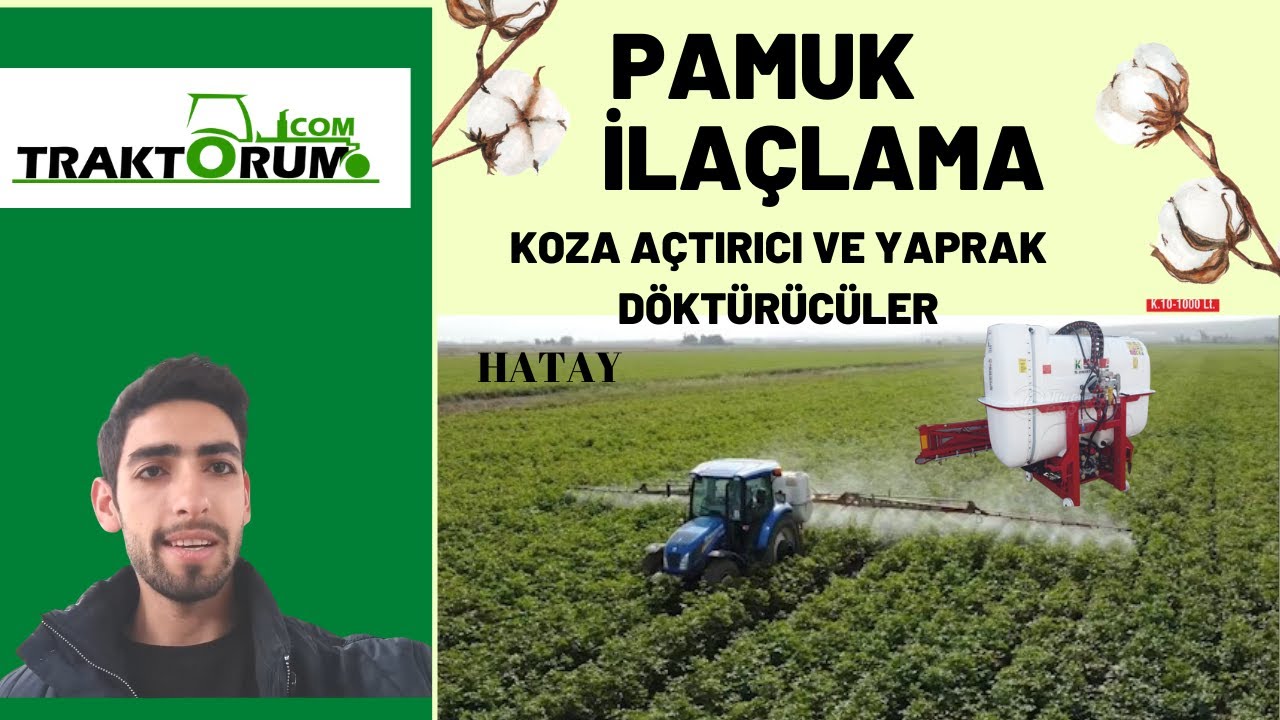 2.ürün pamuk tarlasına yaprak döktürücü ve koza açtırıcı ilaç atımı