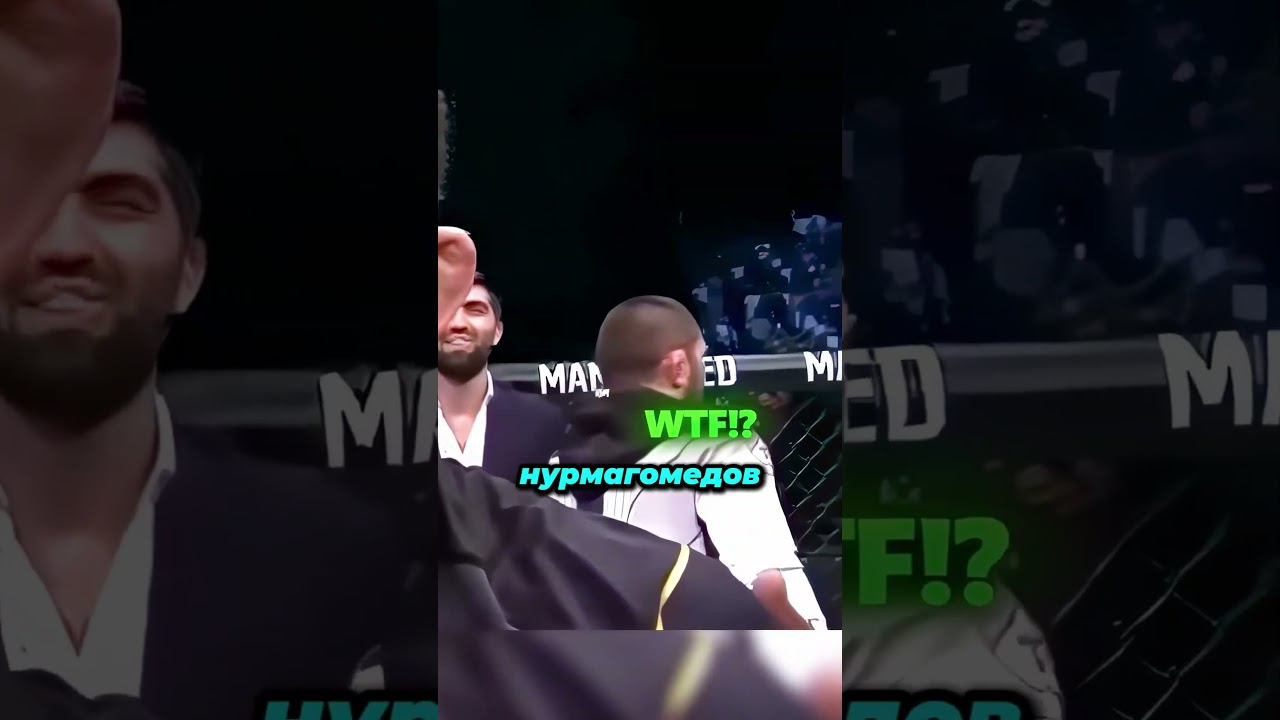 Хабиб СЦЕПИЛСЯ с Хамзатом