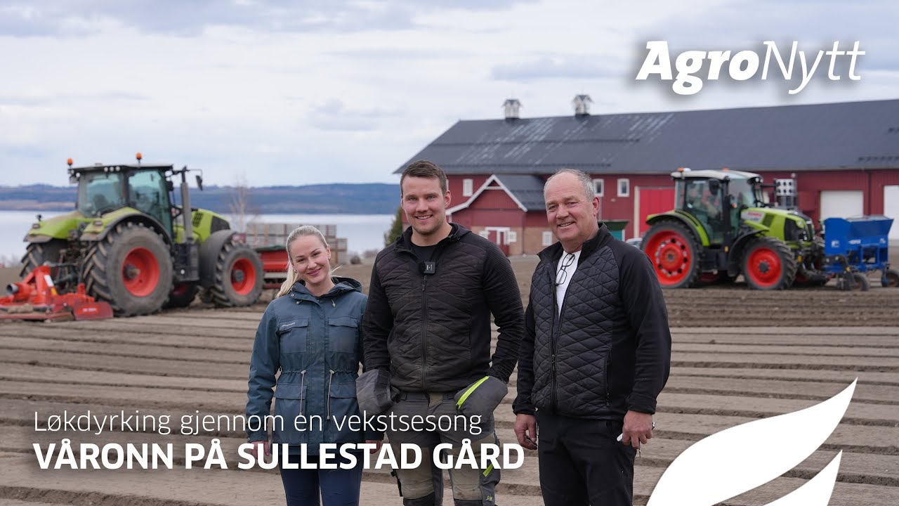 Løkdyrking gjennom en vekstsesong | Våronn på Sullestad gård