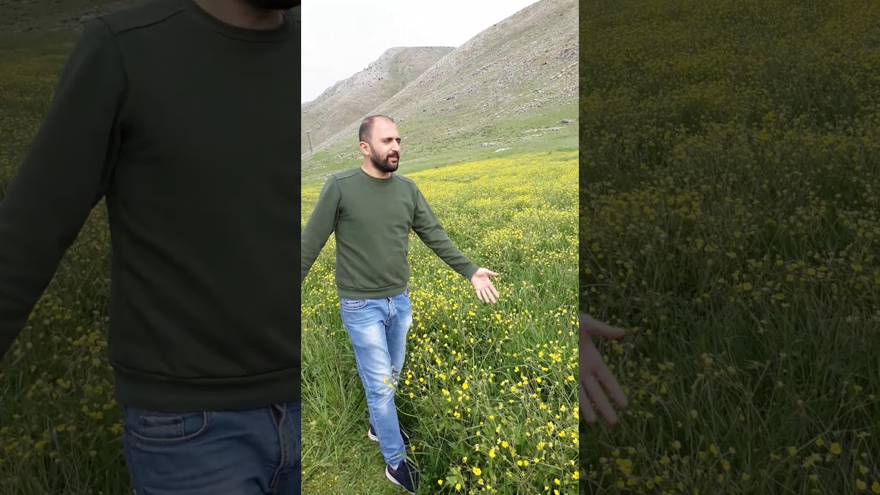 Malatya Yalınkaya Yaylası (Mandol)